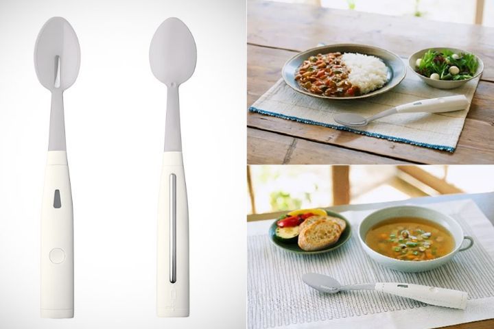 Electrin Salt Spoon di Kirin