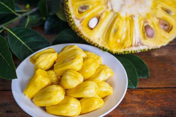 Jack fruit