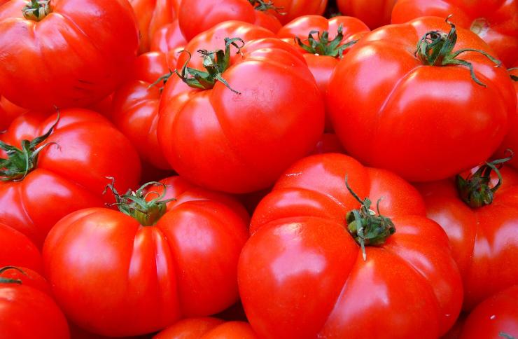 Pomodori