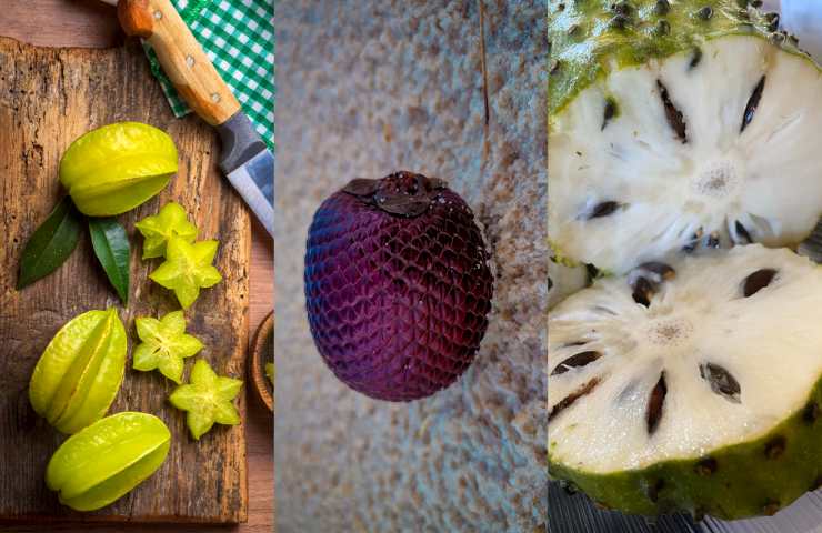 Star Fruit, Miriti e Guanàbano