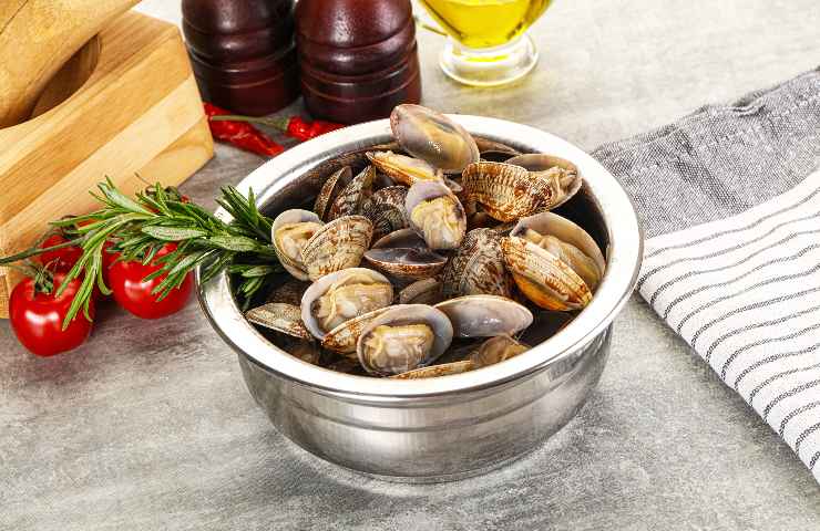 Vongole