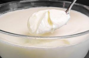 Yogurt fatto in casa