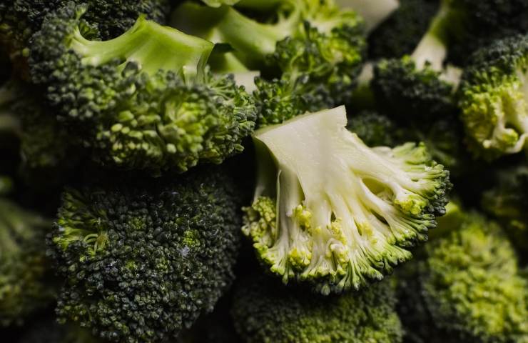 Broccoli