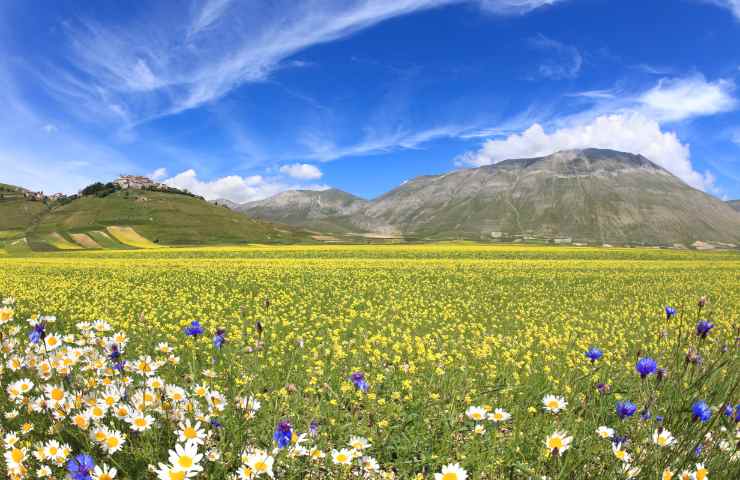 Castelluccio di Norcia