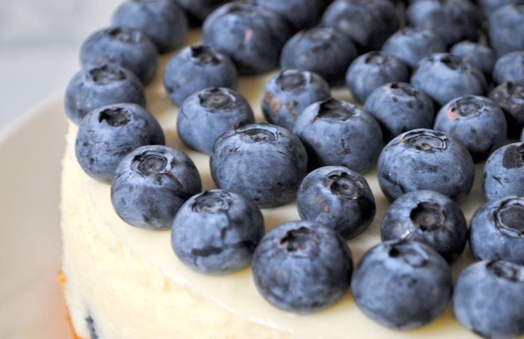 Cheesecake con frutta fresca