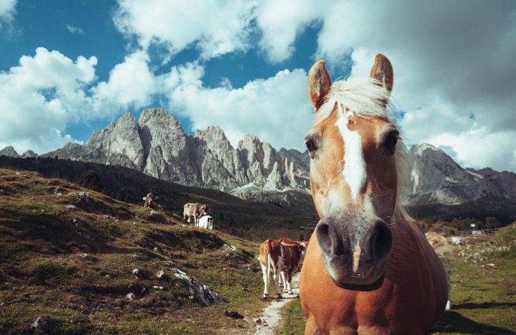 Cosa fare in Val Gardena