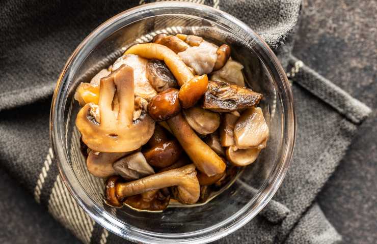 Funghi marinati ricetta