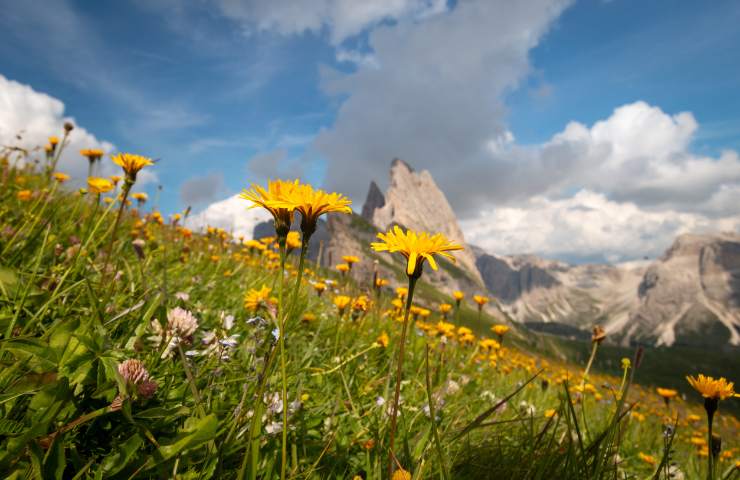 Hotel in Val Gardena