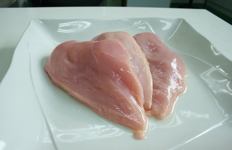 Petto di pollo