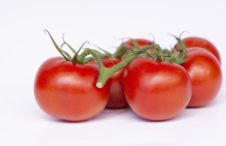 Pomodori