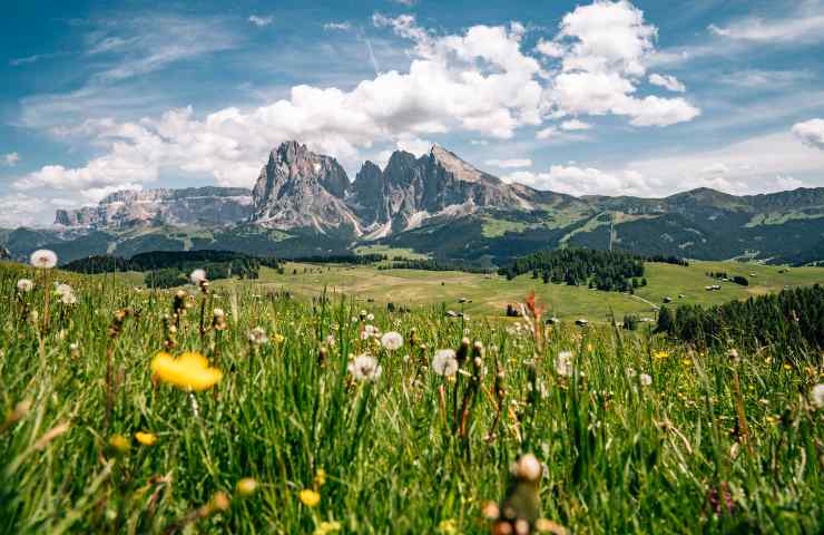 Val Gardena