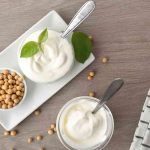 Yogurt di soia fatto in casa