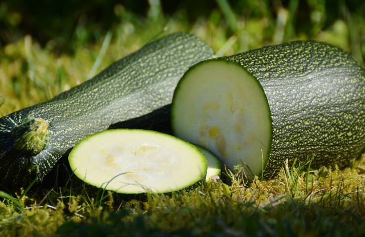 Zucchine