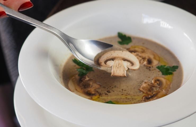 Zuppa di funghi