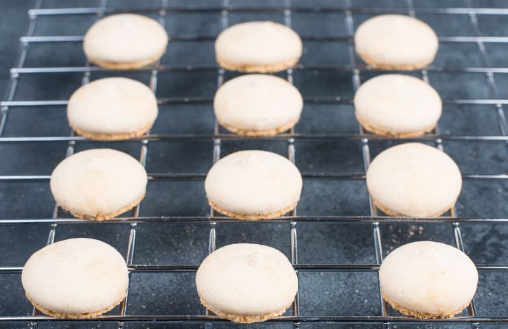 Biscotti all'anice ricetta