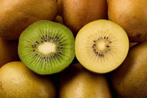 kiwi