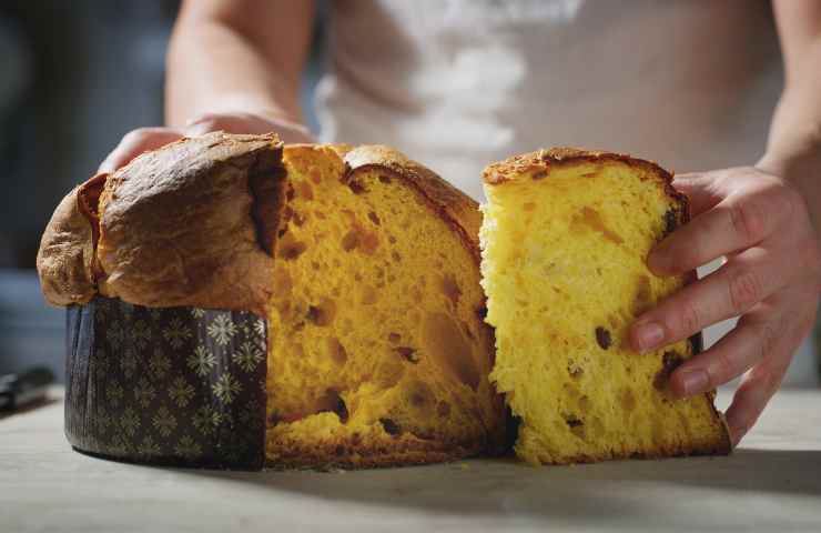 Panettone