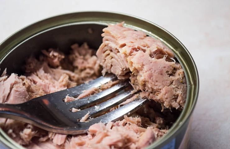 Torta salata di gamberi e tonno