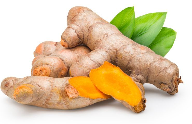 Curcuma per la pasta fresca